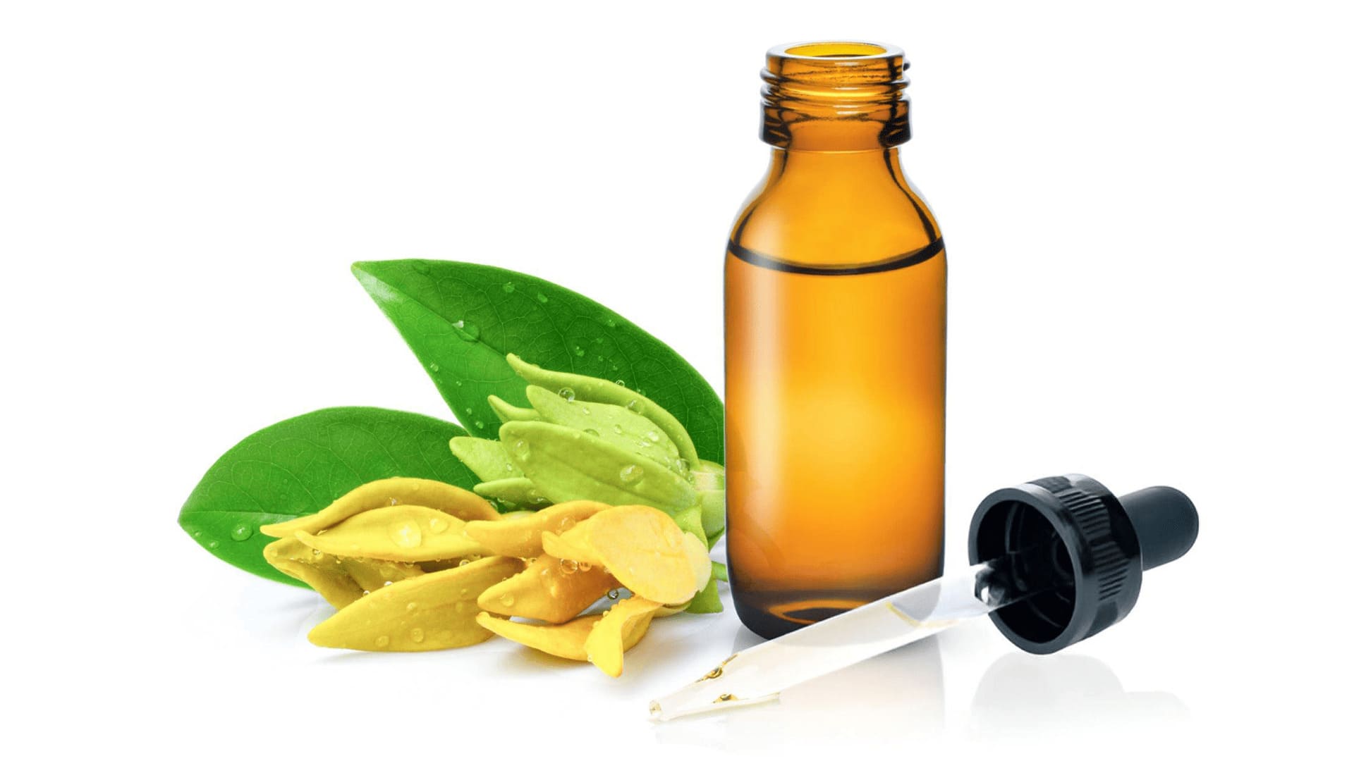 ylang ylang scents in essential oil and perfume